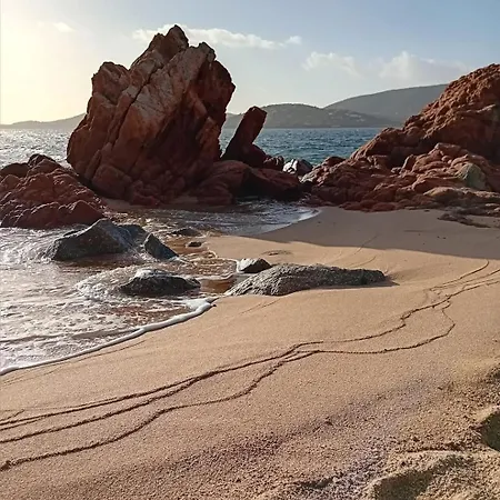 - Piscine Privee * Porto-Vecchio (Corsica)